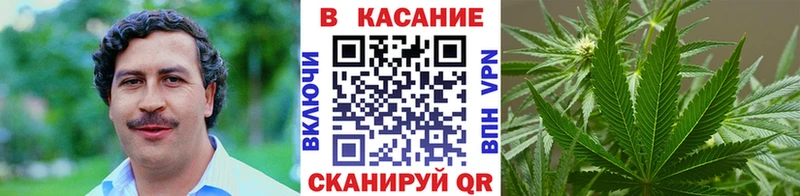 Купить закладку Alpha-PVP  Меф  ГАШ  Марихуана  Озёры